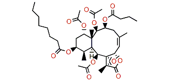 Briaexcavatolide R